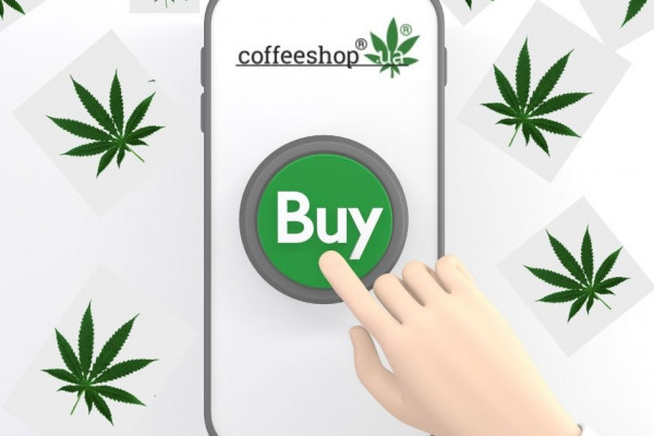 How to buy cannabis seeds online