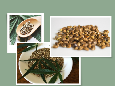 Top 8 Benefits of Using Hemp Seeds