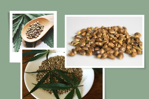 Top 8 Benefits of Using Hemp Seeds