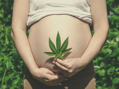 Using Hemp Seeds in Pregnancy