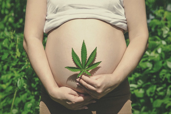 Using Hemp Seeds in Pregnancy