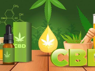 What plants contain cannabinoids?