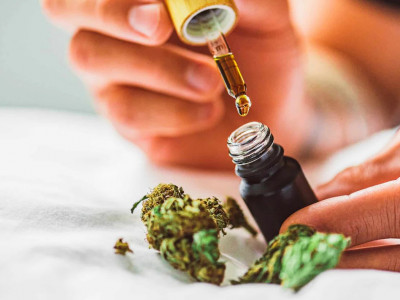Як CBD впливає на організм