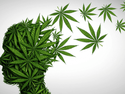 How marijuana affects the brain - harm and benefit