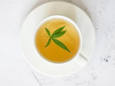 Tea with hemp - what's special about it?