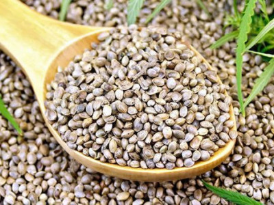 How are hemp seeds used in food