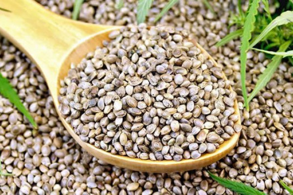 How are hemp seeds used in food