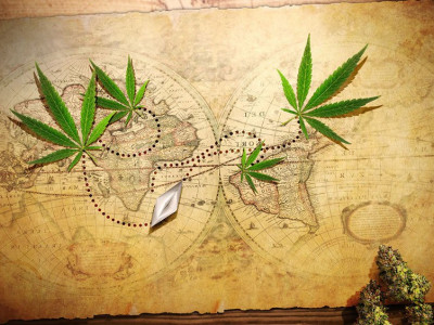 The history of cannabis as we know it now