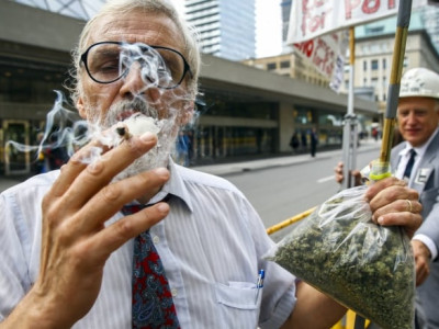 Marijuana use by the elderly