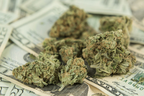 How to Invest in Marijuana: An Investor's Guide