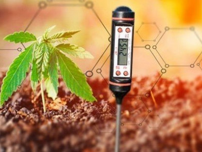 Why is pH important when growing cannabis?