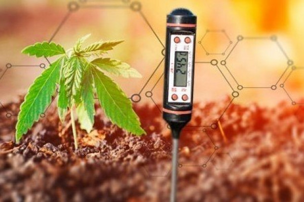 Why is pH important when growing cannabis?