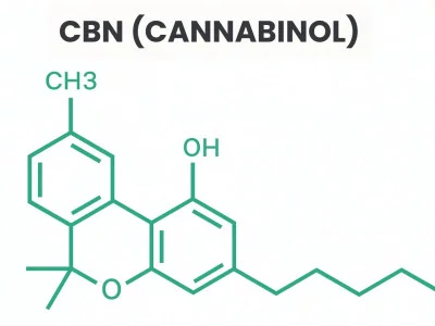 What is cannabinol or CBN?