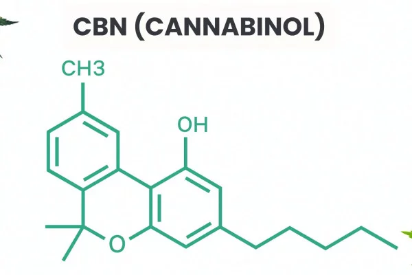 Что такое канабинол или CBN? 