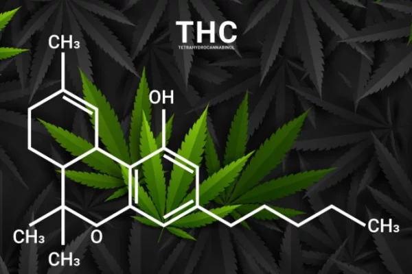 Как быстро и эффективно вывести ТГК из организма