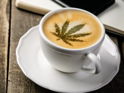 Cannabis and caffeine - what to expect