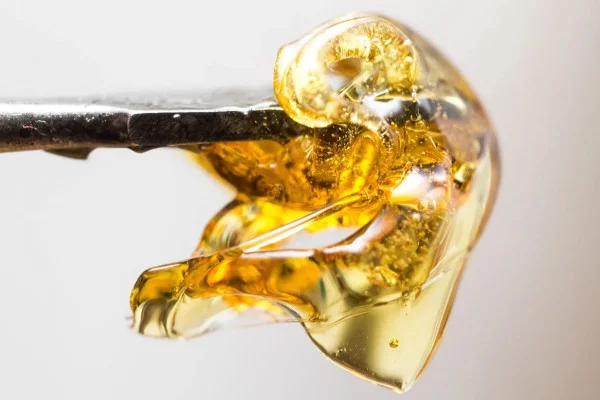 Канифоль из каннабиса или SHO - что это