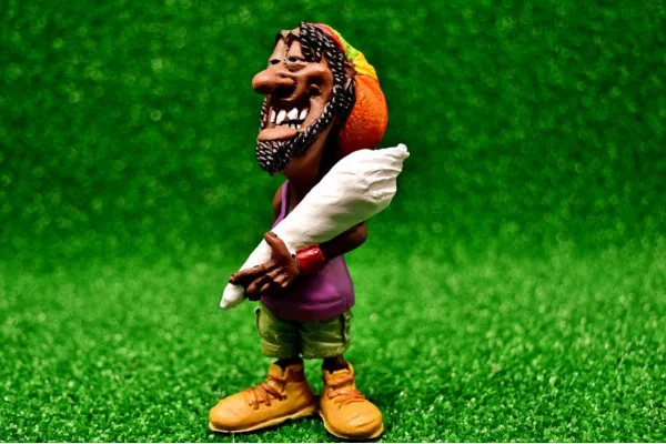 Какой подарок выбрать растаману?